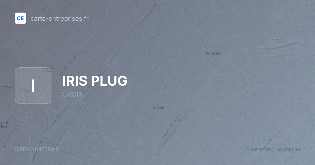 IRIS PLUG — 484708946 — fiche entreprise