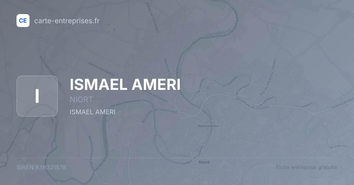 ISMAEL AMERI — 838321578 — fiche entreprise