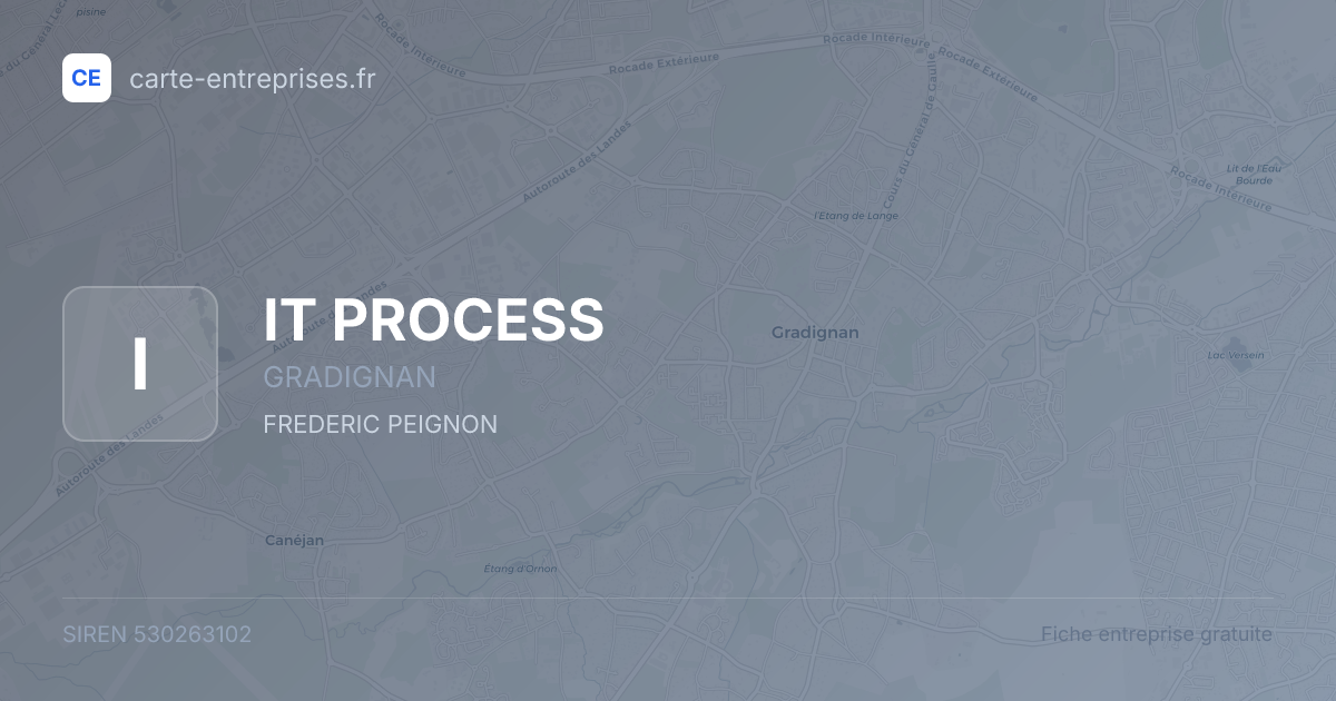 IT PROCESS — 530263102 — fiche entreprise