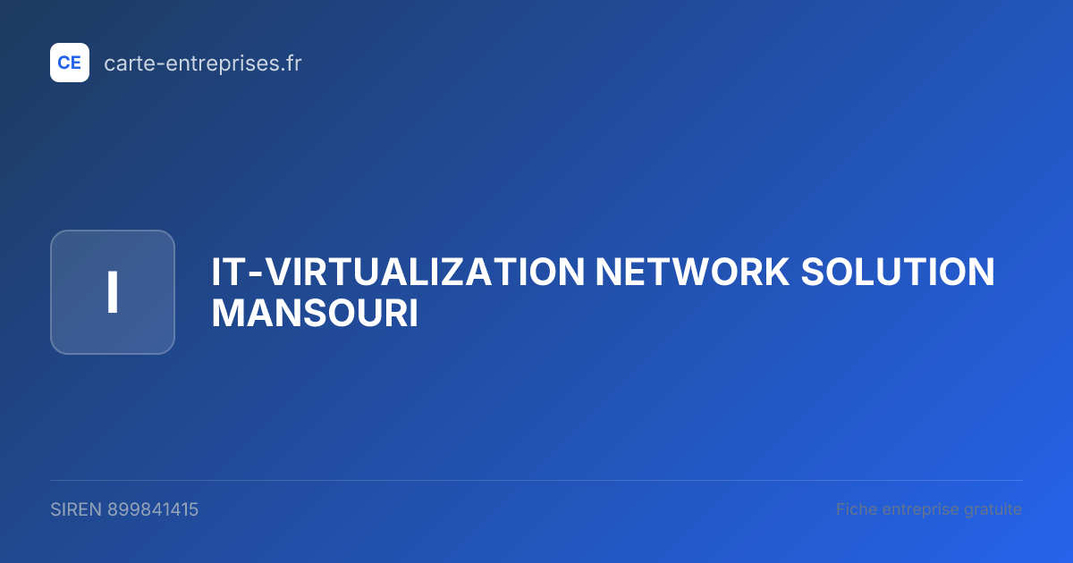IT-VIRTUALIZATION NETWORK SOLUTION MANSOURI — 899841415 — fiche entreprise