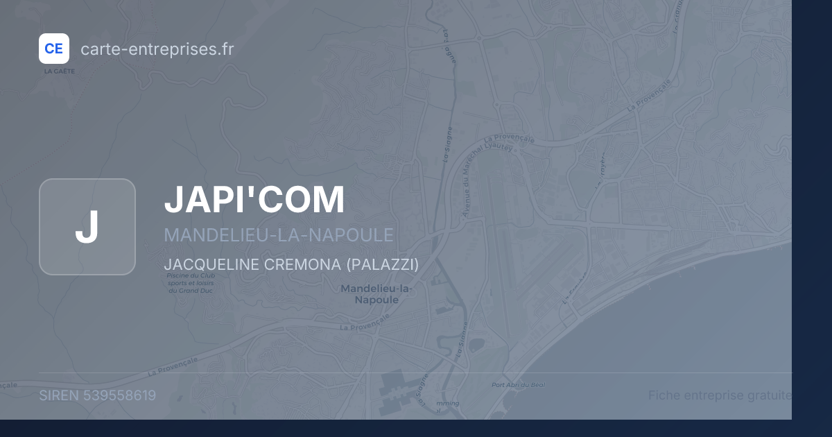 JAPI'COM — 539558619 — fiche entreprise