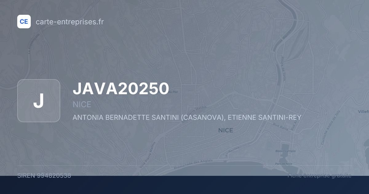 JAVA20250 — 994820538 — fiche entreprise