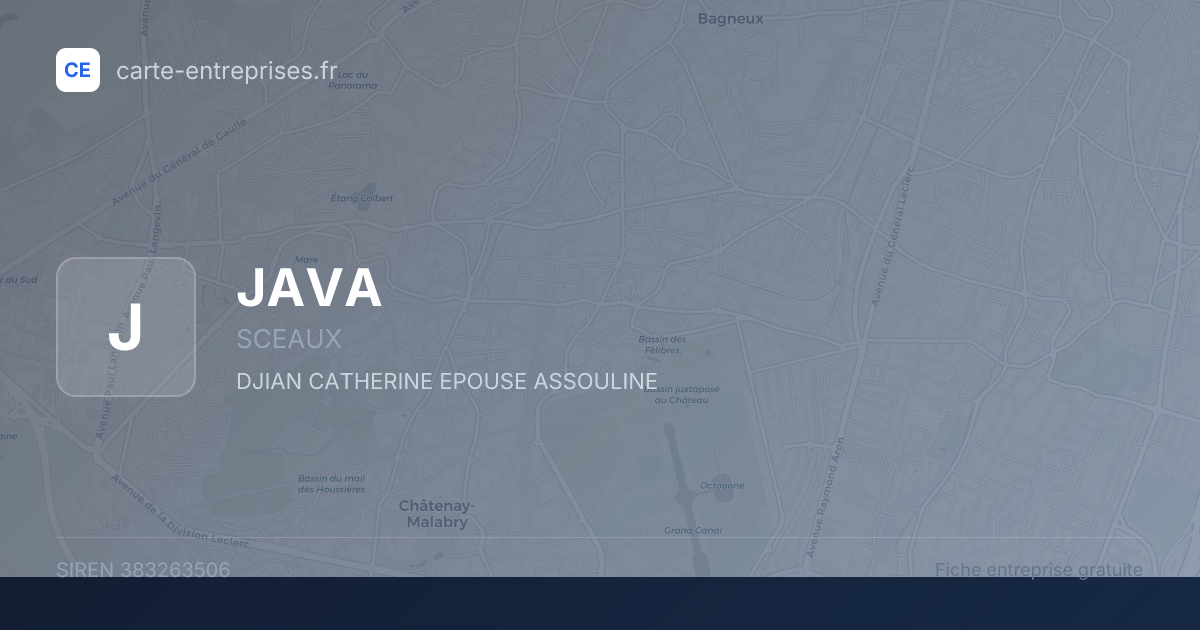 JAVA — 383263506 — fiche entreprise