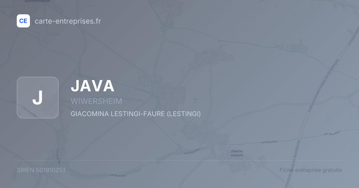 JAVA — 501910251 — fiche entreprise