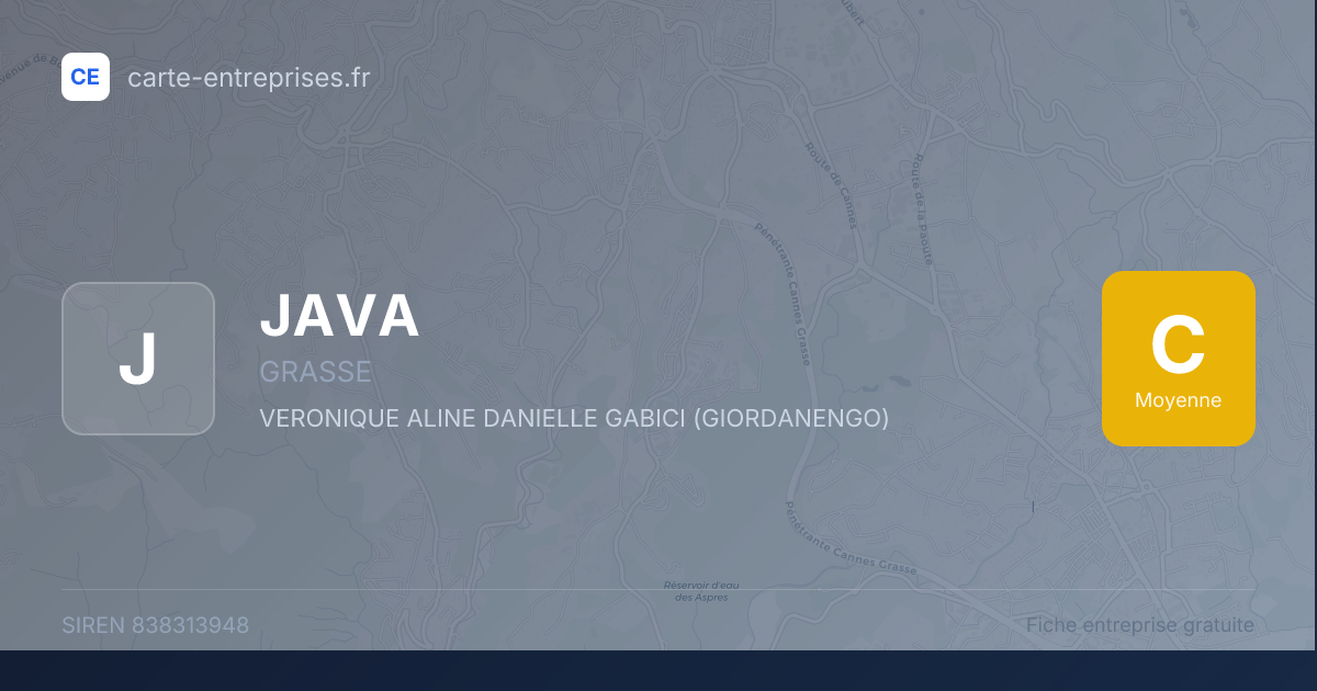 JAVA — 838313948 — fiche entreprise