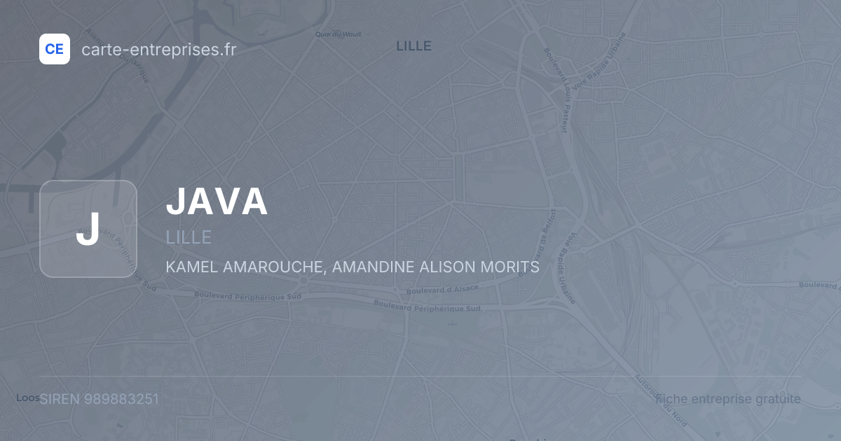 JAVA — 989883251 — fiche entreprise