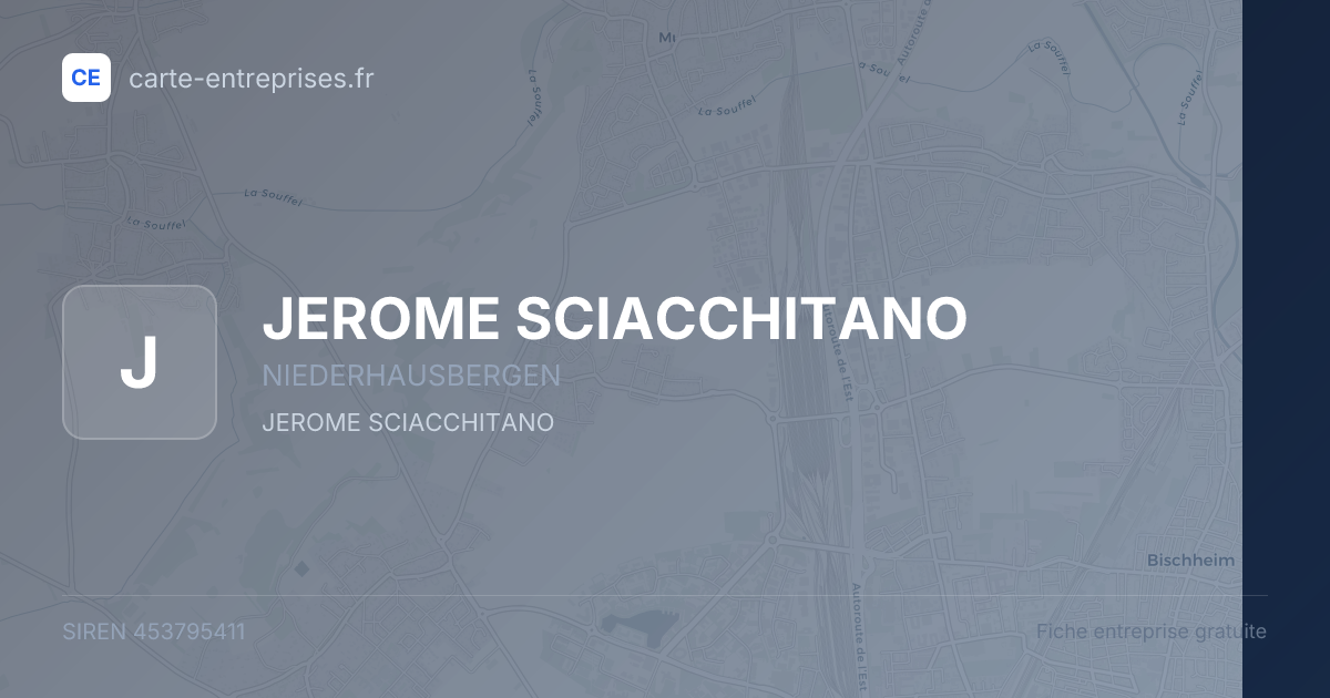 JEROME SCIACCHITANO — 453795411 — fiche entreprise