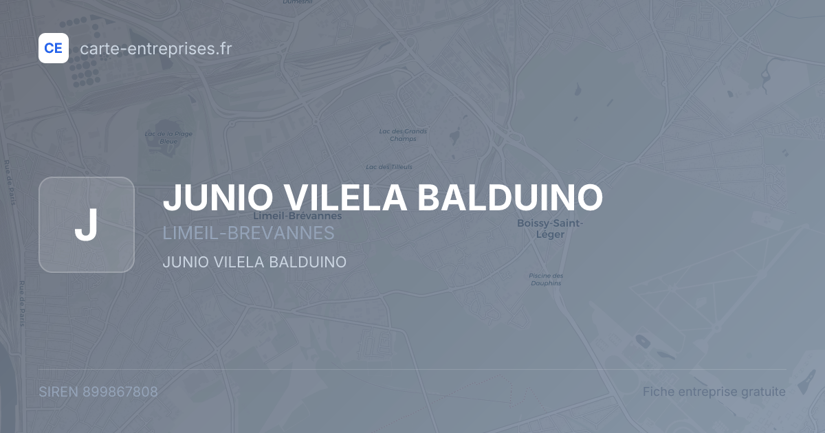 JUNIO VILELA BALDUINO — 899867808 — fiche entreprise