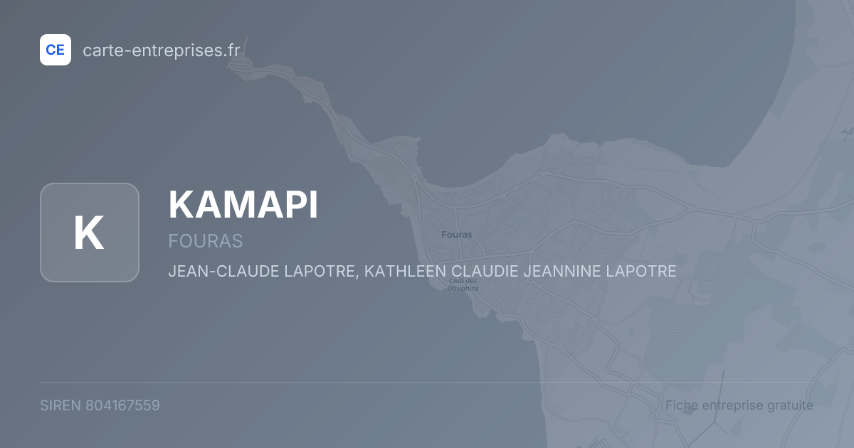 KAMAPI — 804167559 — fiche entreprise