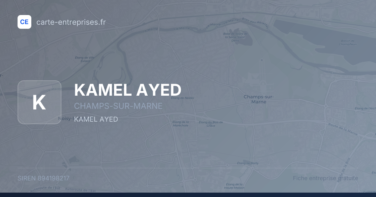KAMEL AYED — 894198217 — fiche entreprise