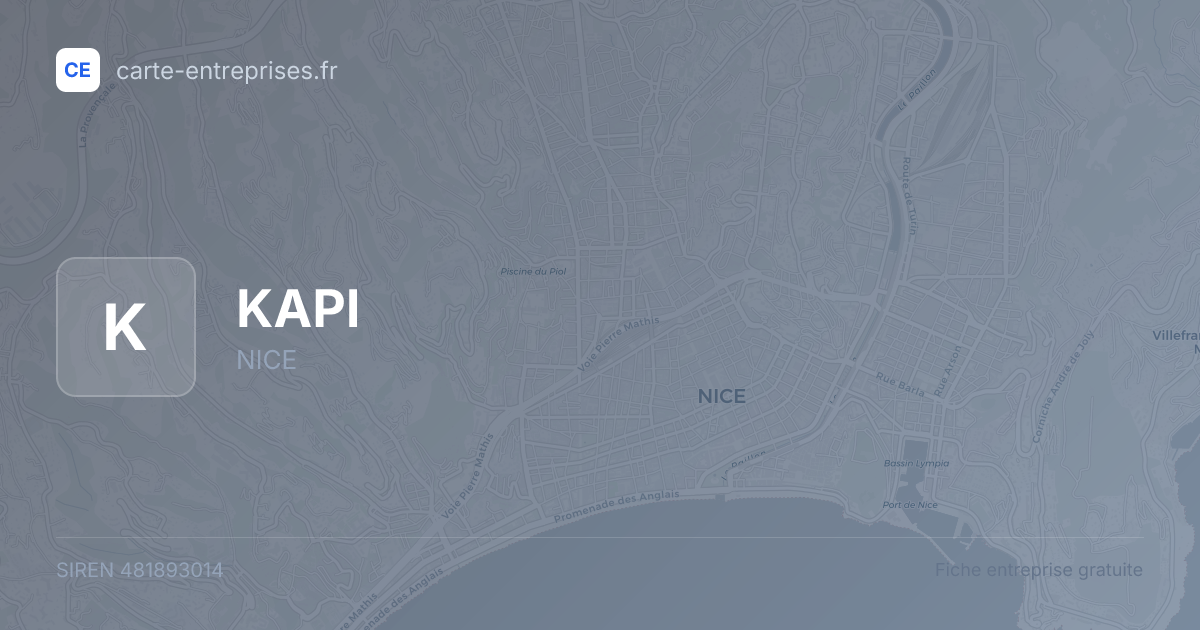 KAPI — 481893014 — fiche entreprise