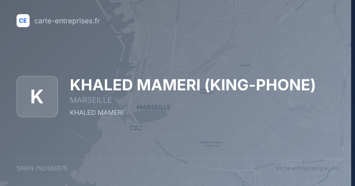 KHALED MAMERI (KING-PHONE) — 792466575 — fiche entreprise