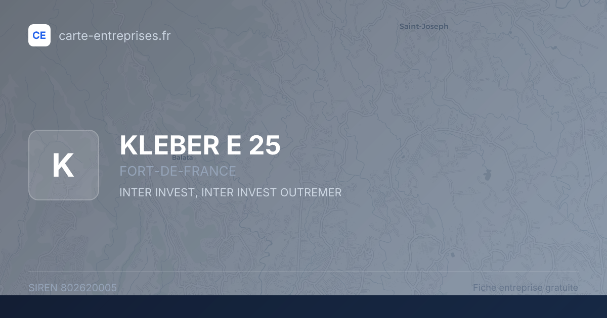 KLEBER E 25 — 802620005 — fiche entreprise