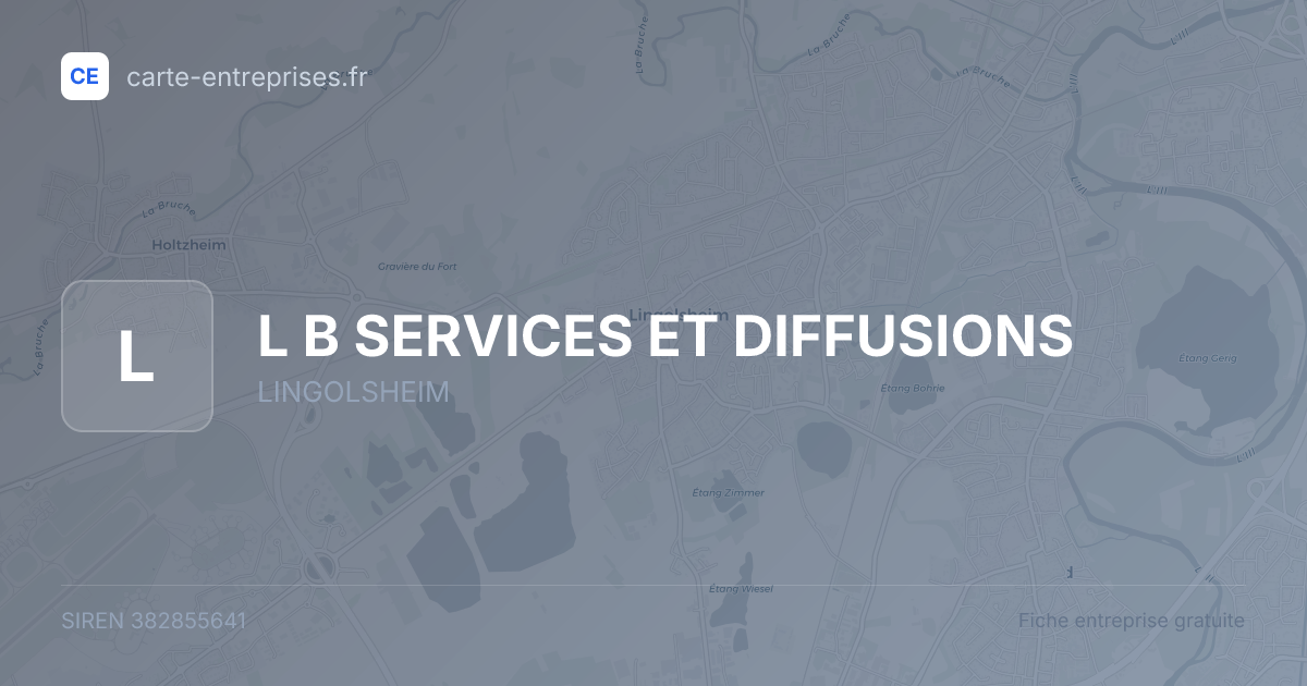 L B SERVICES ET DIFFUSIONS — 382855641 — fiche entreprise