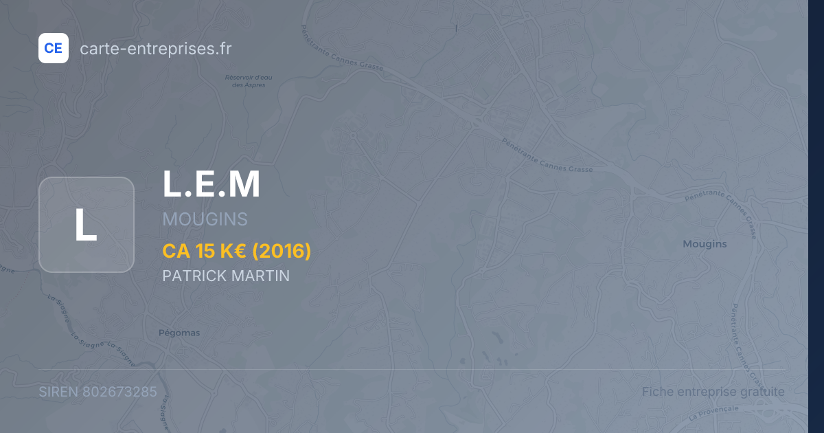 L.E.M — 802673285 — fiche entreprise