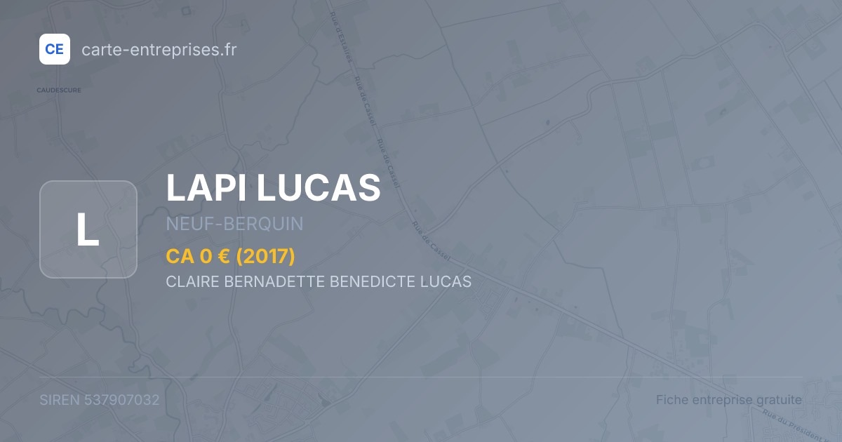 LAPI LUCAS — 537907032 — fiche entreprise