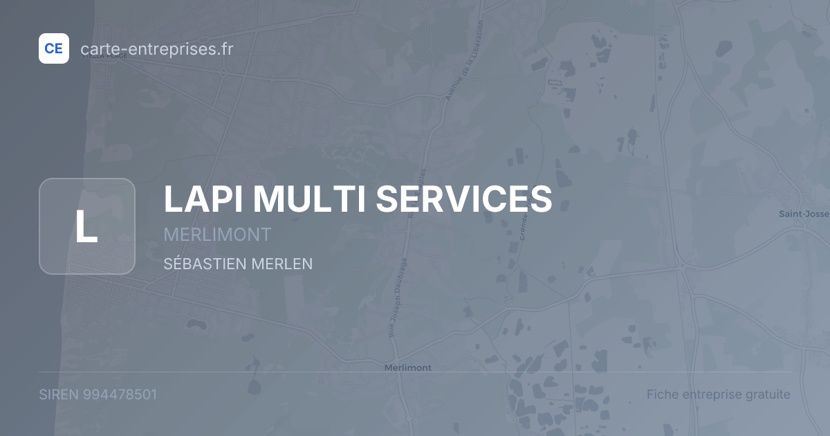 LAPI MULTI SERVICES — 994478501 — fiche entreprise