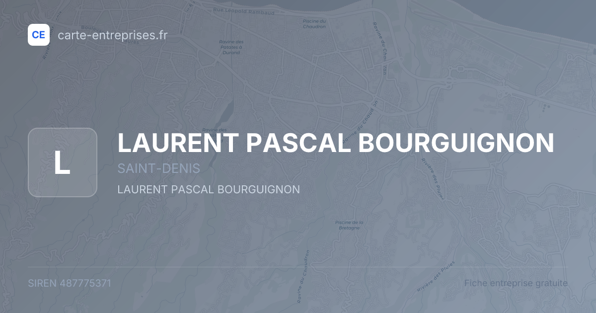 LAURENT PASCAL BOURGUIGNON — 487775371 — fiche entreprise