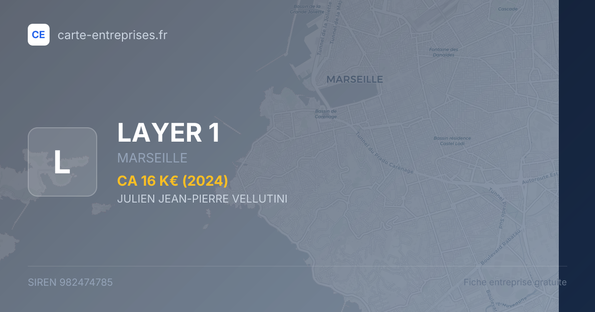 LAYER 1 — 982474785 — fiche entreprise