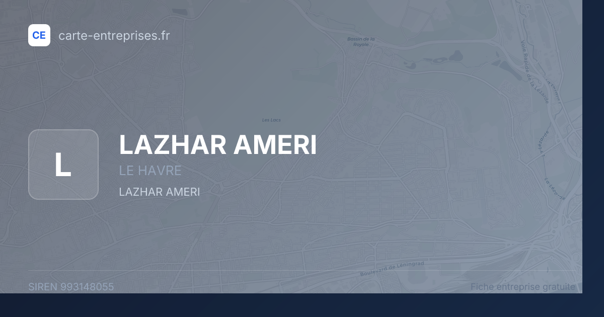 LAZHAR AMERI — 993148055 — fiche entreprise