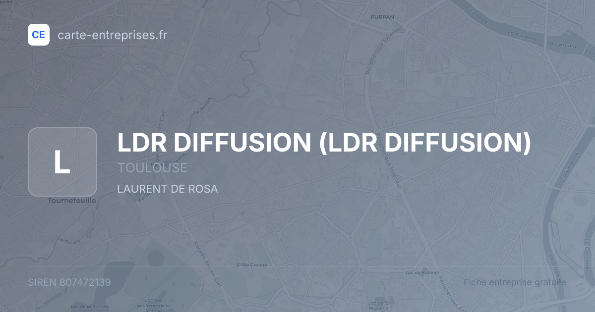 LDR DIFFUSION — 807472139 — fiche entreprise