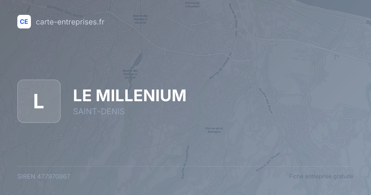 LE MILLENIUM — 477970867 — fiche entreprise