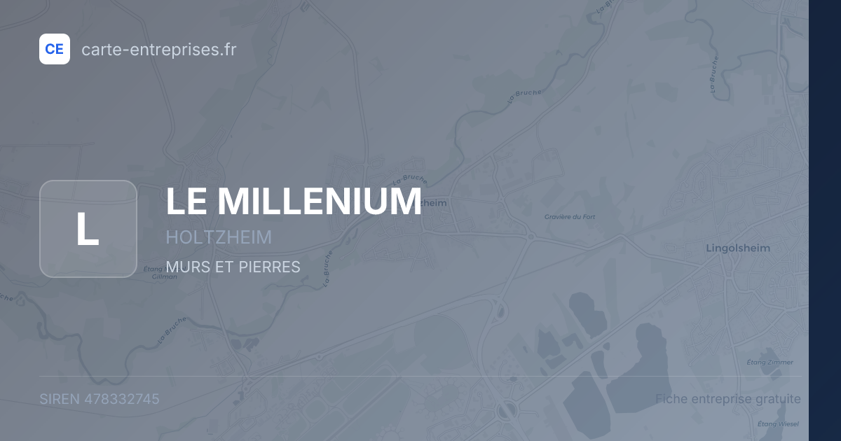 LE MILLENIUM — 478332745 — fiche entreprise