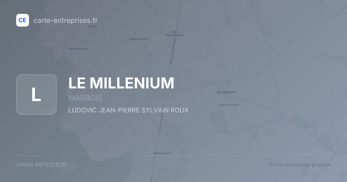 LE MILLENIUM — 487625626 — fiche entreprise
