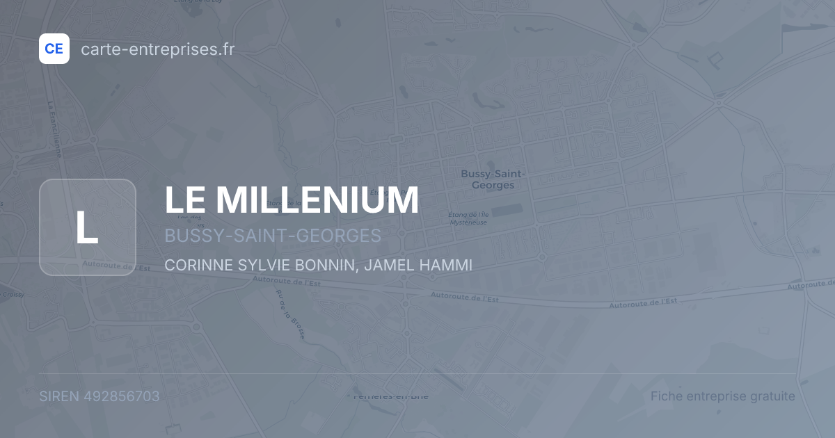 LE MILLENIUM — 492856703 — fiche entreprise