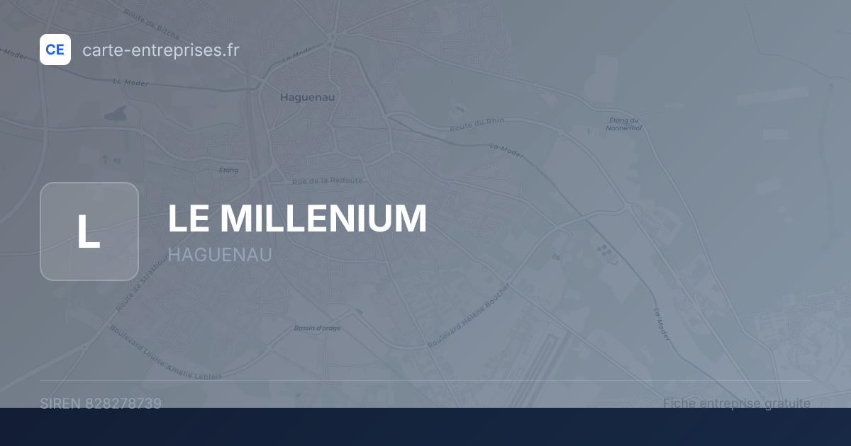 LE MILLENIUM — 828278739 — fiche entreprise