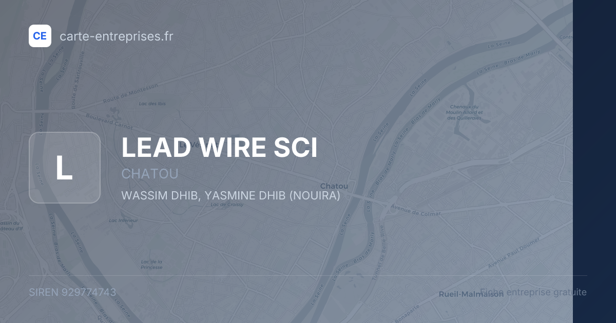 LEAD WIRE SCI — 929774743 — fiche entreprise