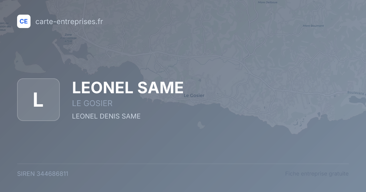 LEONEL SAME — 344686811 — fiche entreprise