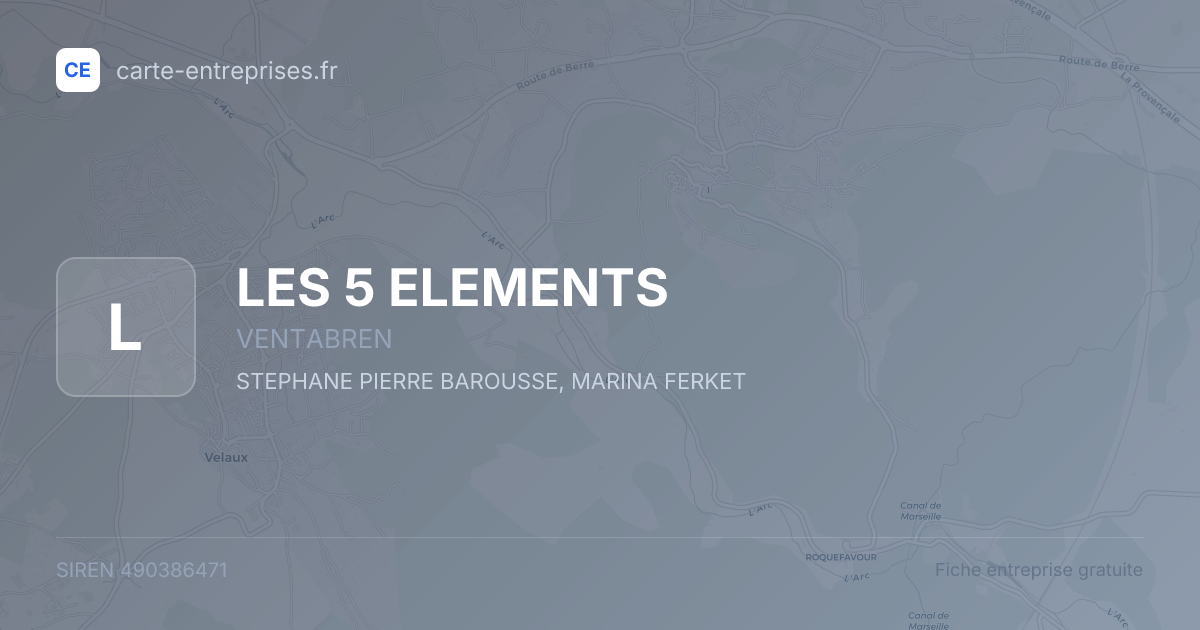 LES 5 ELEMENTS — 490386471 — fiche entreprise
