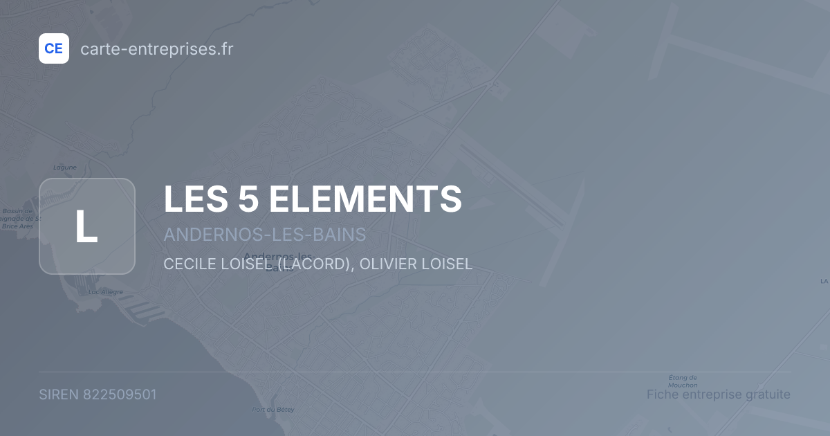 LES 5 ELEMENTS — 822509501 — fiche entreprise