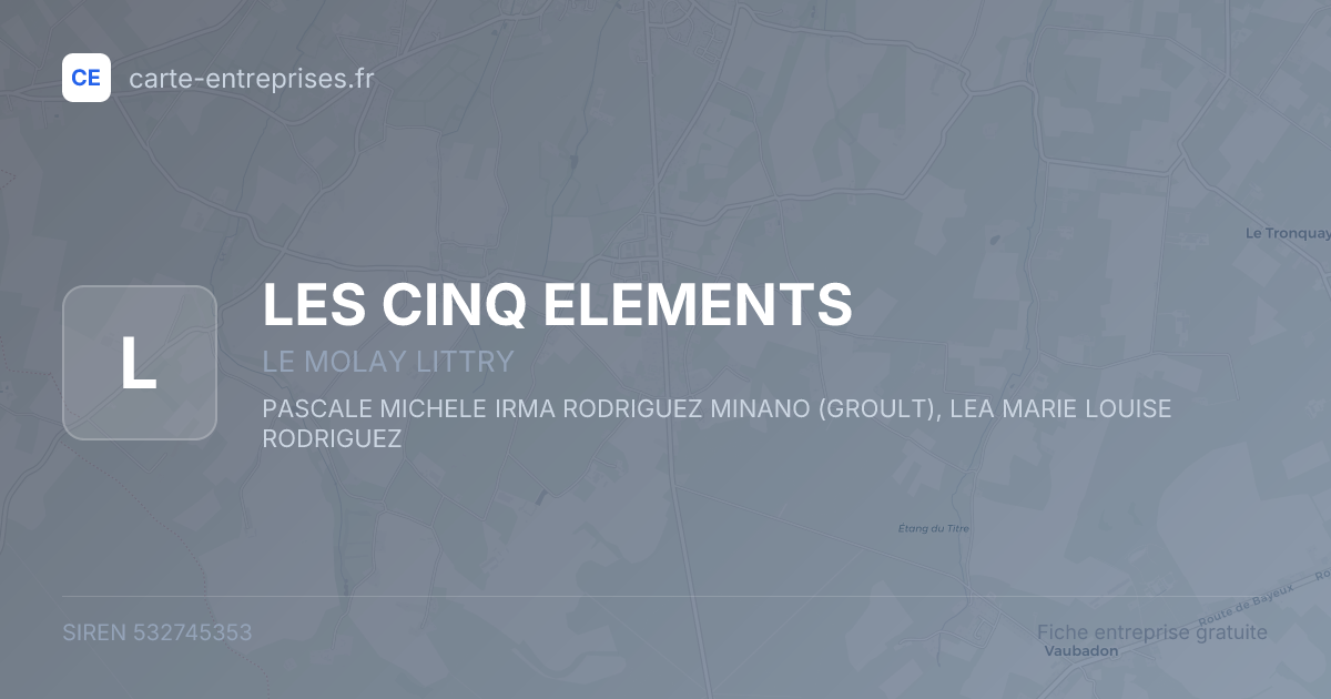 LES CINQ ELEMENTS — 532745353 — fiche entreprise