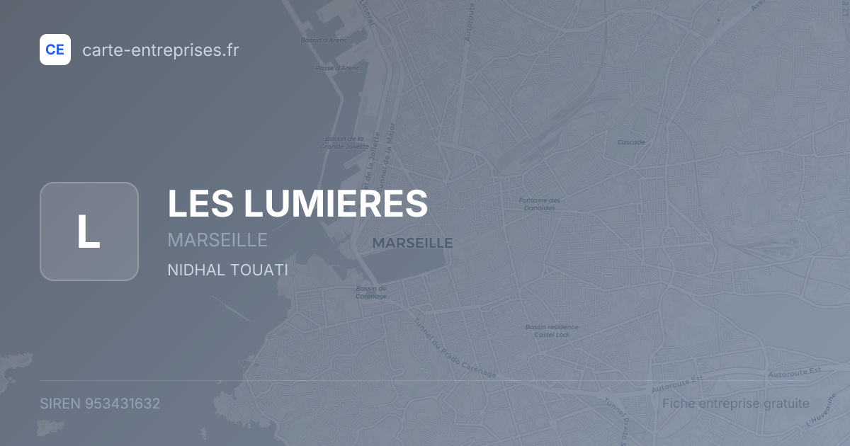 LES LUMIERES — 953431632 — fiche entreprise