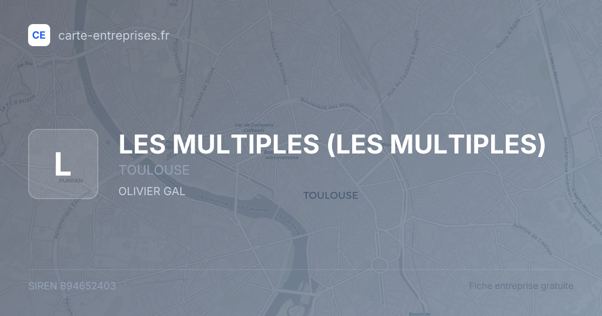 LES MULTIPLES — 894652403 — fiche entreprise