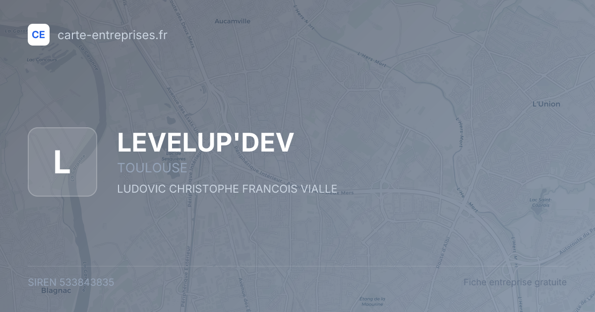 LEVELUP'DEV — 533843835 — fiche entreprise