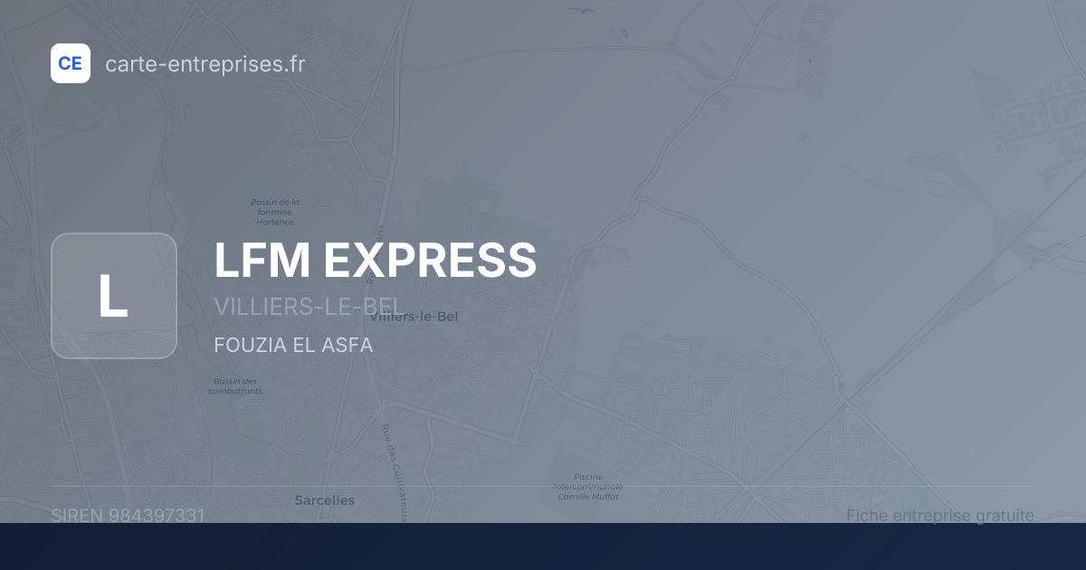 LFM EXPRESS — 984397331 — fiche entreprise