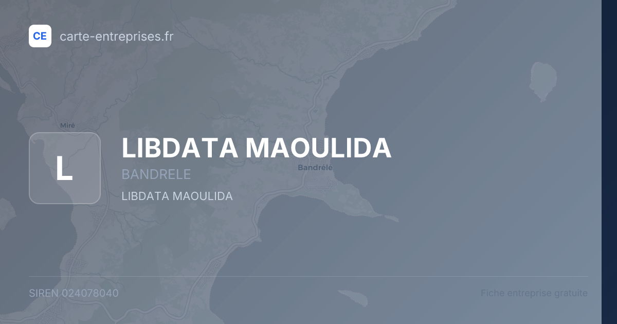 LIBDATA MAOULIDA — 024078040 — fiche entreprise