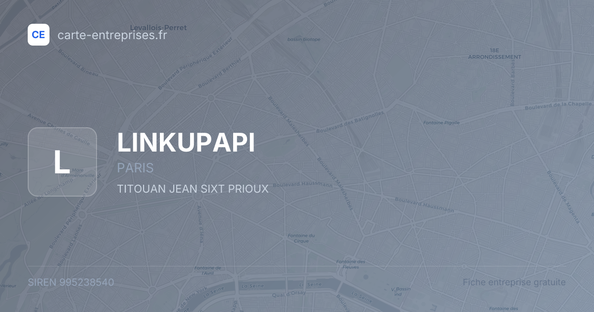 LINKUPAPI — 995238540 — fiche entreprise