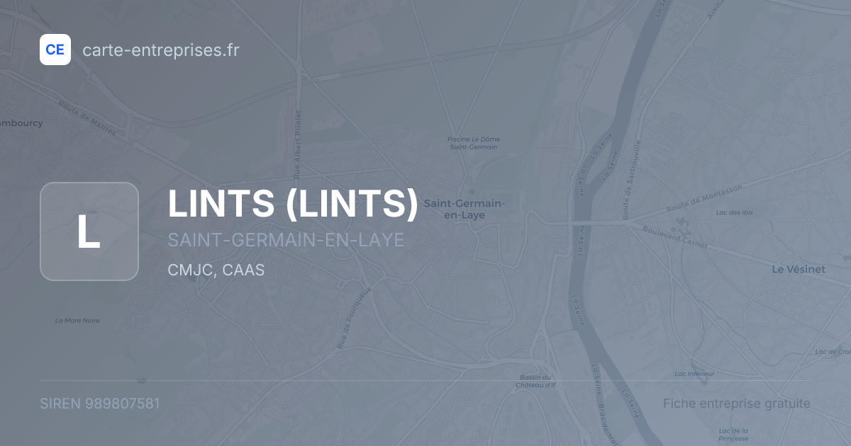 LINTS — 989807581 — fiche entreprise