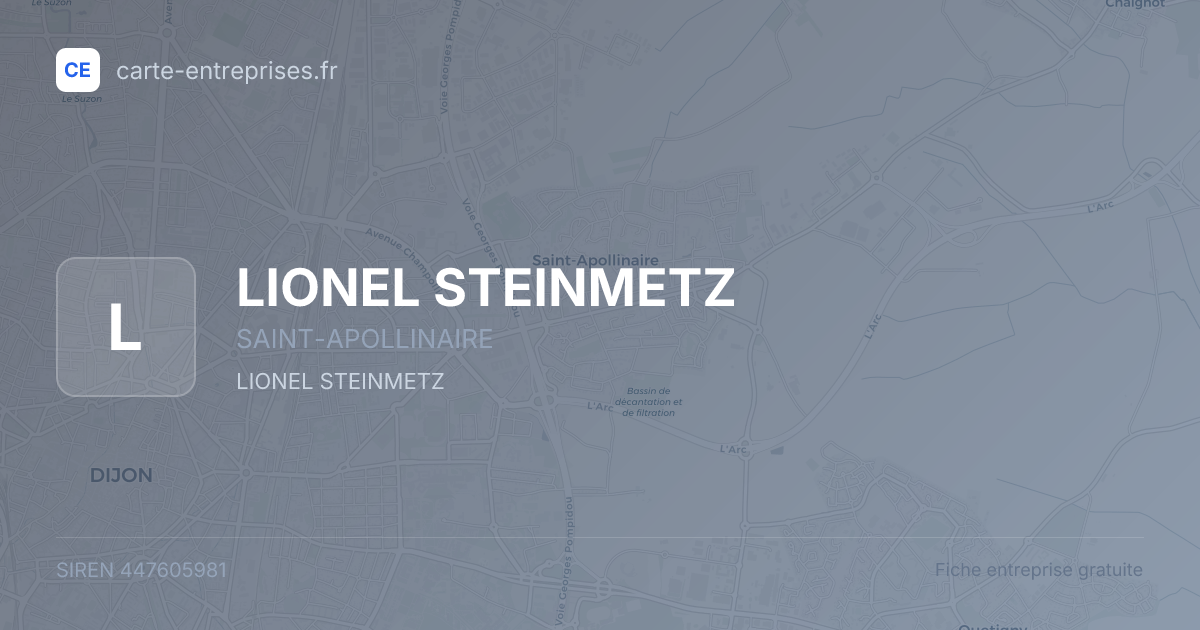 LIONEL STEINMETZ — 447605981 — fiche entreprise