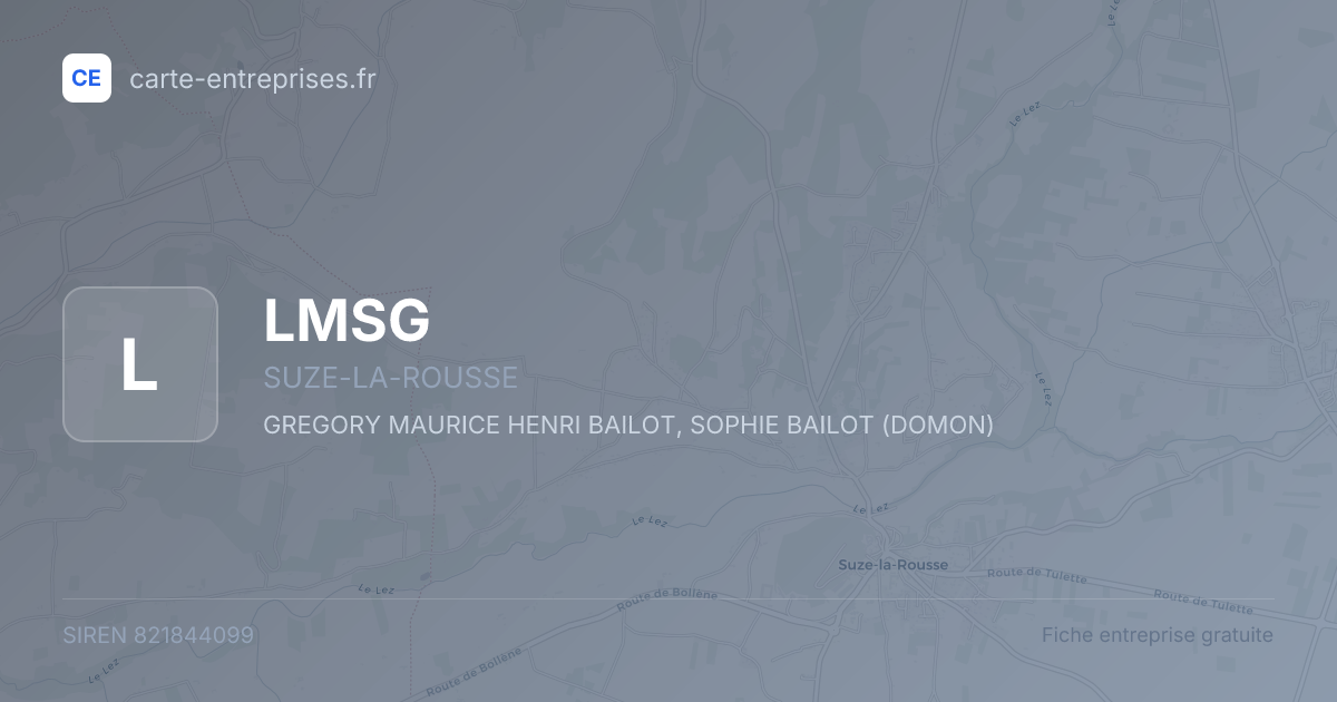 LMSG — 821844099 — fiche entreprise