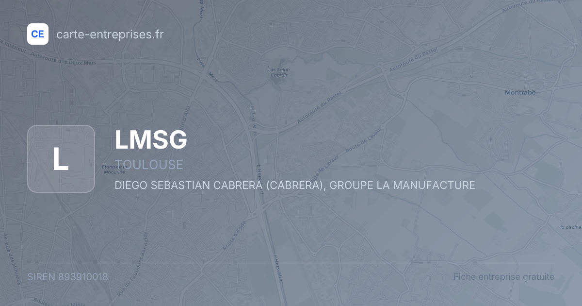LMSG — 893910018 — fiche entreprise