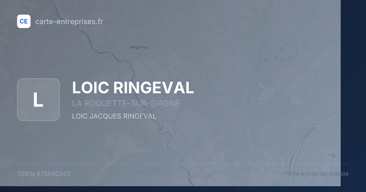 LOIC RINGEVAL — 878540343 — fiche entreprise