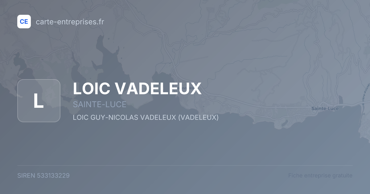 LOIC VADELEUX — 533133229 — fiche entreprise