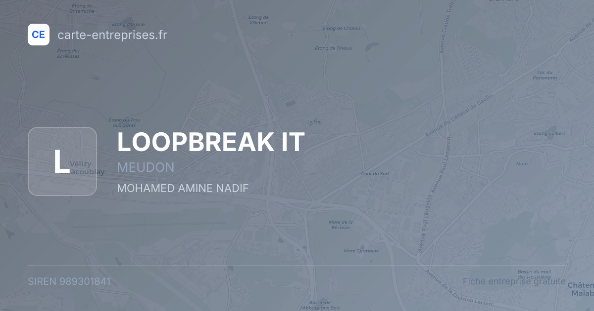 LOOPBREAK IT — 989301841 — fiche entreprise