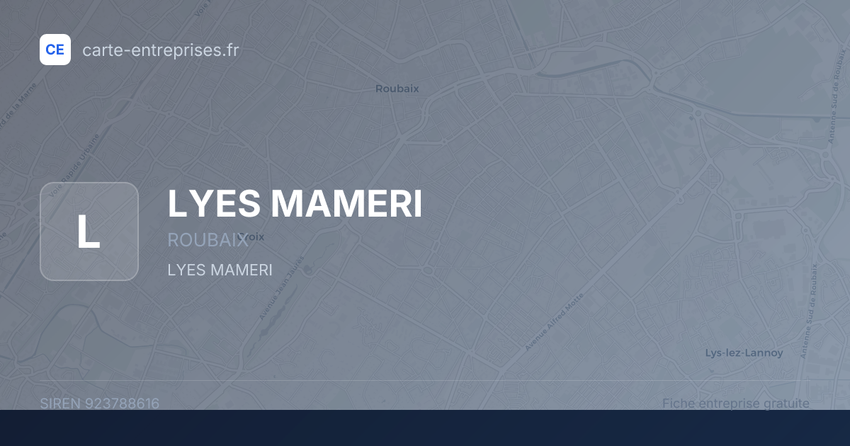 LYES MAMERI — 923788616 — fiche entreprise