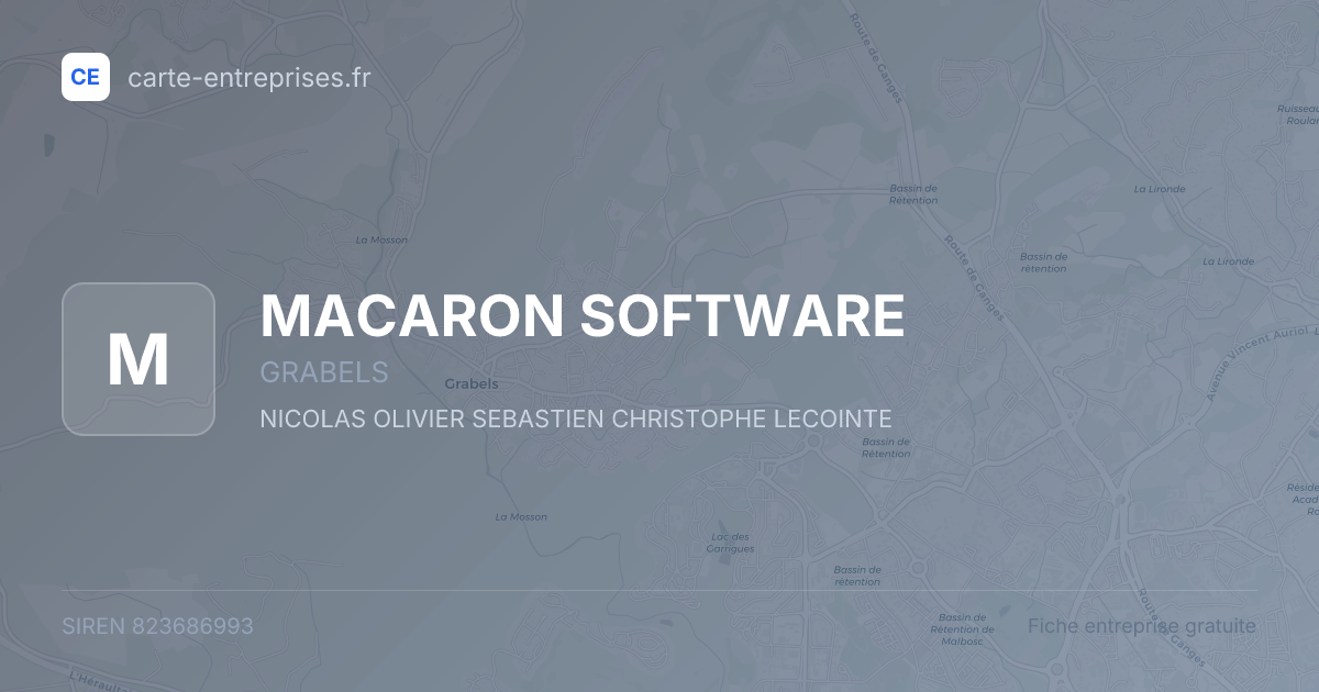 MACARON SOFTWARE — 823686993 — fiche entreprise